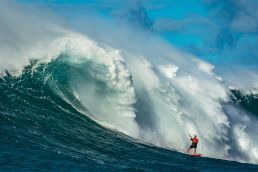 Kiter in der Welle Jaws