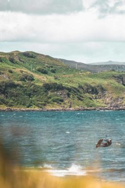 Kiten auf der Halbinsel Gedintailor in Schottland