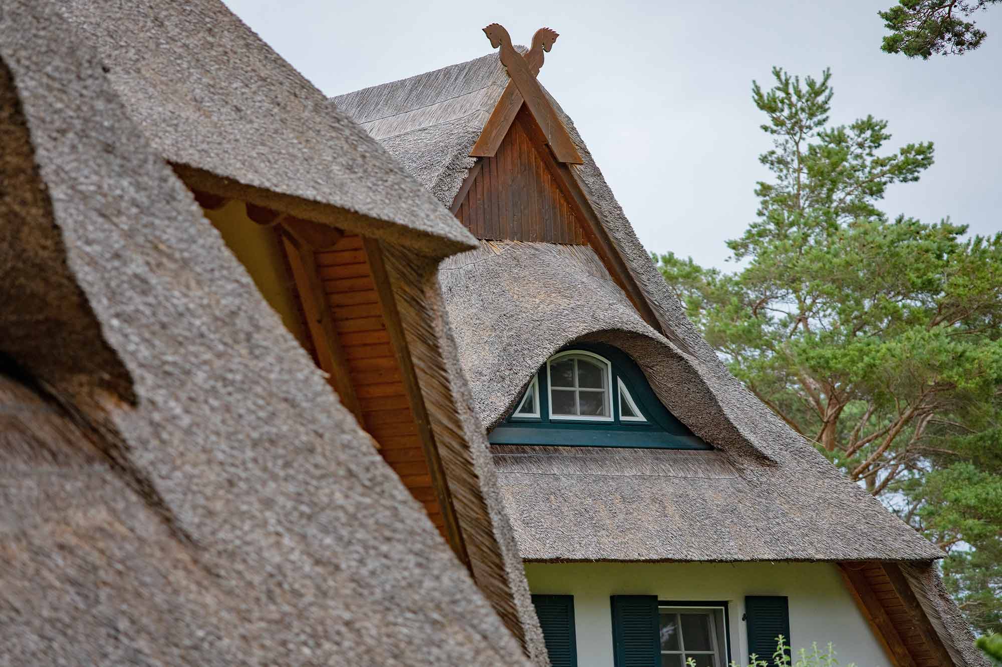 Ein Reetdach-Haus auf Rügen